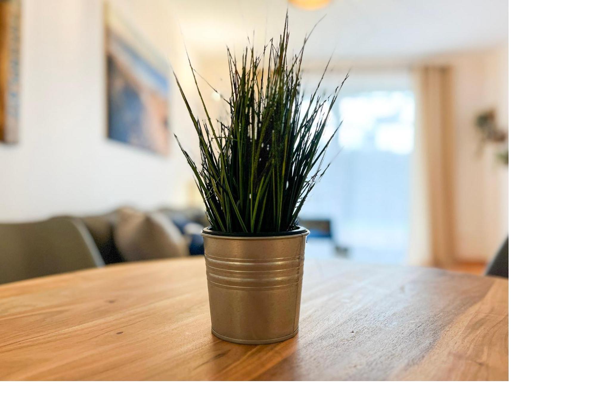 Hanse-Hof Wohnung 05 Boltenhagen Kültér fotó